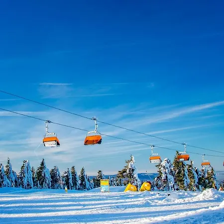 Lejlighed Krusnohorske Strane