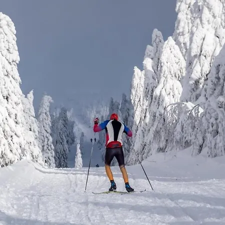 Lejlighed Krusnohorske Strane Loučná pod Klínovcem