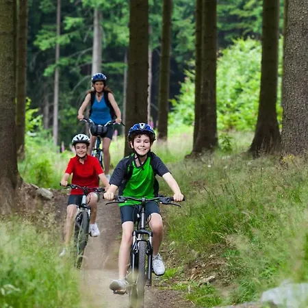 Lejlighed Krusnohorske Strane