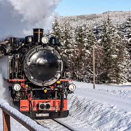 Lejlighed Krusnohorske Strane *