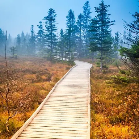 Lejlighed Krusnohorske Strane