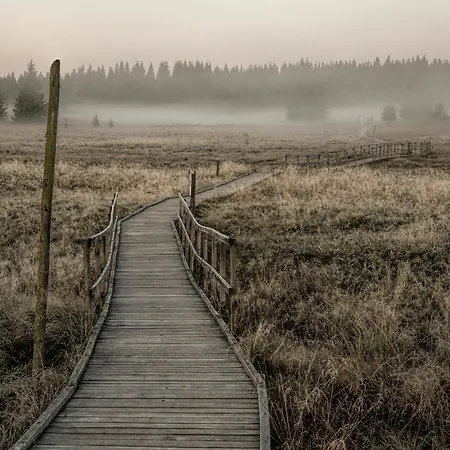 Lejlighed Krusnohorske Strane *