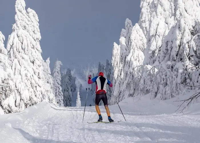 アパート Krusnohorske Strane Loučná pod Klínovcem