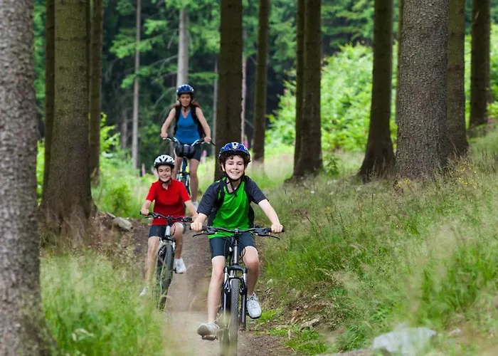 Апартаменты Krusnohorske Strane