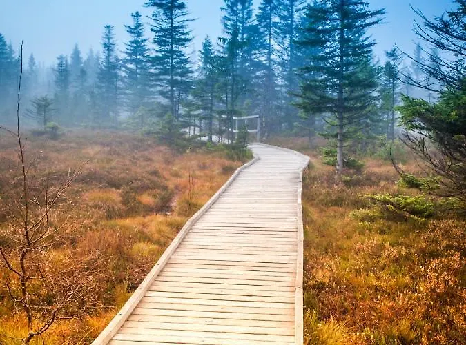 Апартаменты Krusnohorske Strane