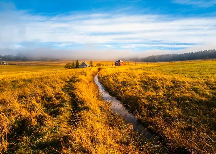 Daire Krusnohorske Strane