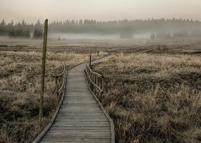 Daire Krusnohorske Strane *